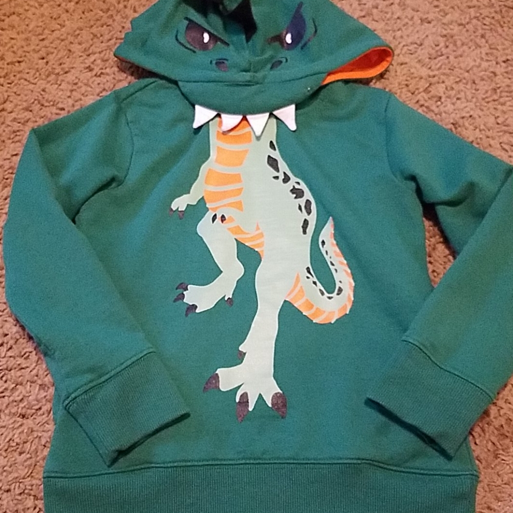 5T Dinosoaur Hoodie